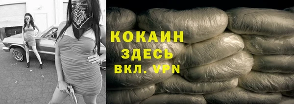 стаф Михайловск