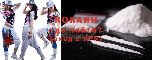 мдпв Михайлов