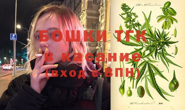 стаф Михайловск
