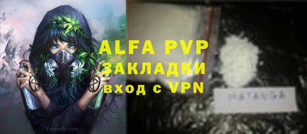 стаф Михайловск