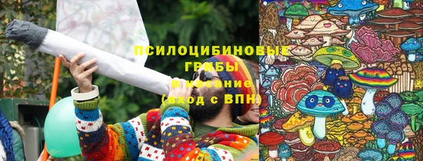 стаф Михайловск