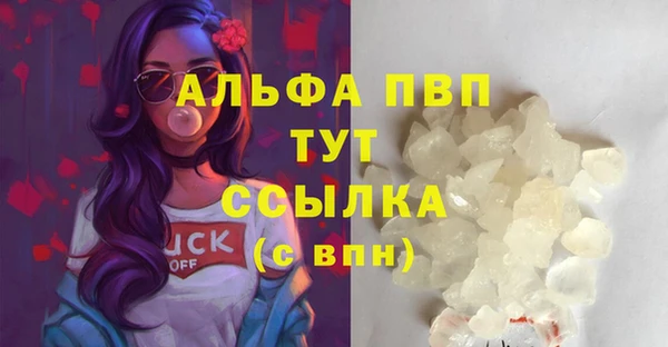 мдпв Михайлов