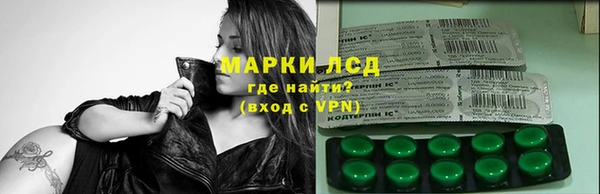 стаф Михайловск