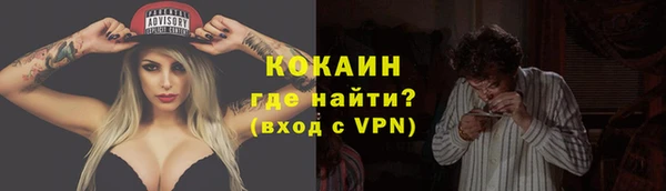 стаф Михайловск