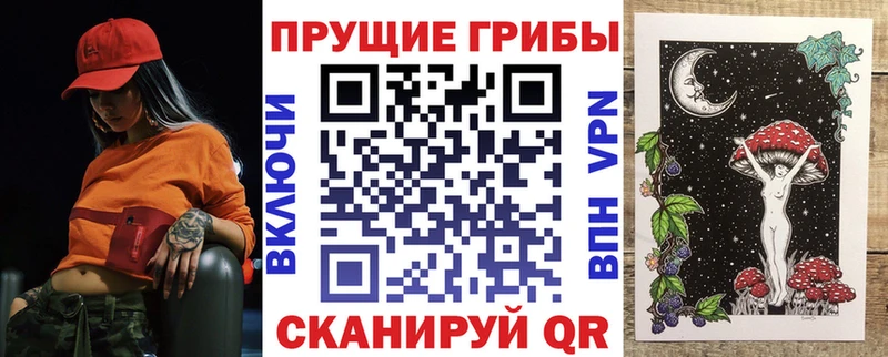 Псилоцибиновые грибы Cubensis  Купить где  Боровичи 